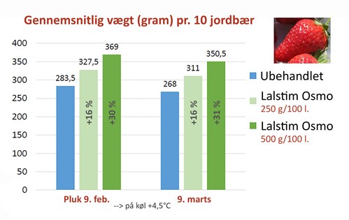 lalstim jorbær graf